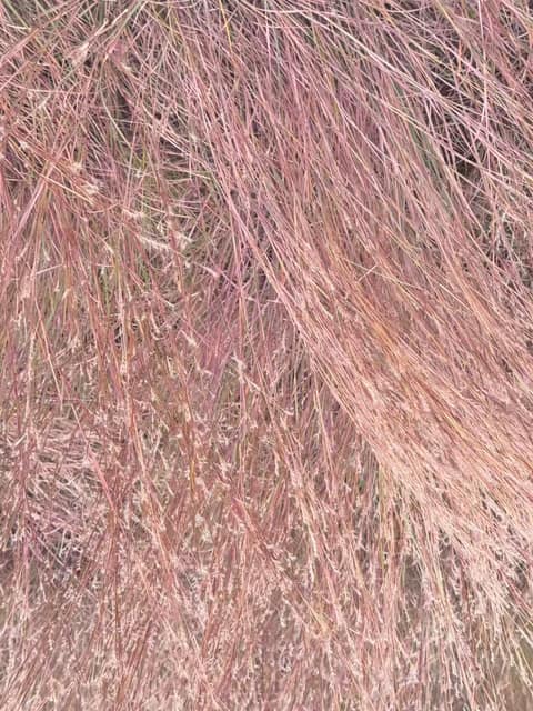 园区生态与科普展示 · 实地记录 09