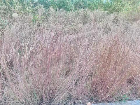 园区生态与科普展示 · 实地记录 13